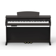 ARTESIA DP-20 RW