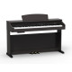 ARTESIA DP-30 RW