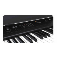ARTESIA VIVACE 
