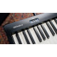 ROLAND FP-10 ROLAND FP-10